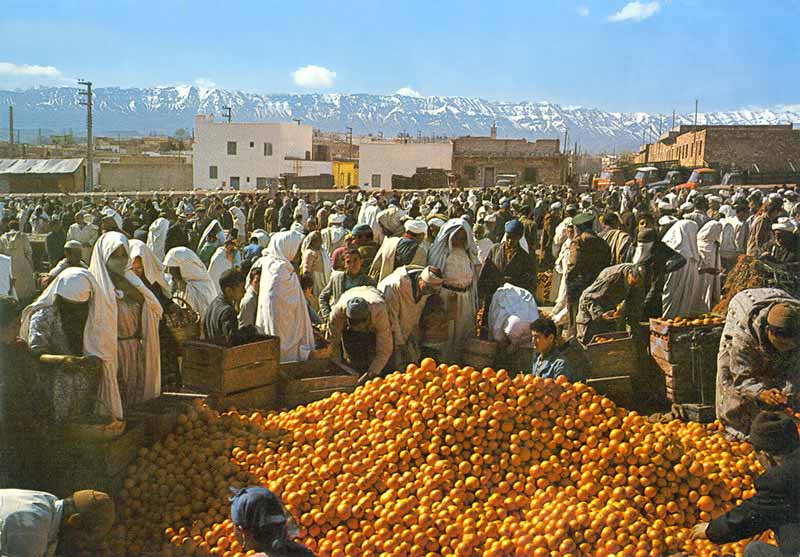 Middelt : marché au oranges sur fond de Jbel Aiachi
            enneigé