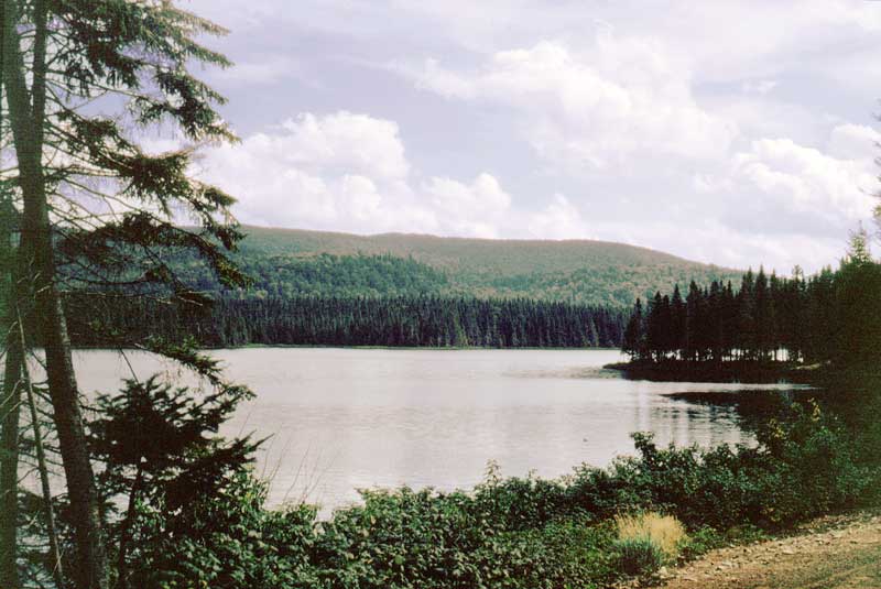 Lac dans
                le parc du Mont-Tremblant
