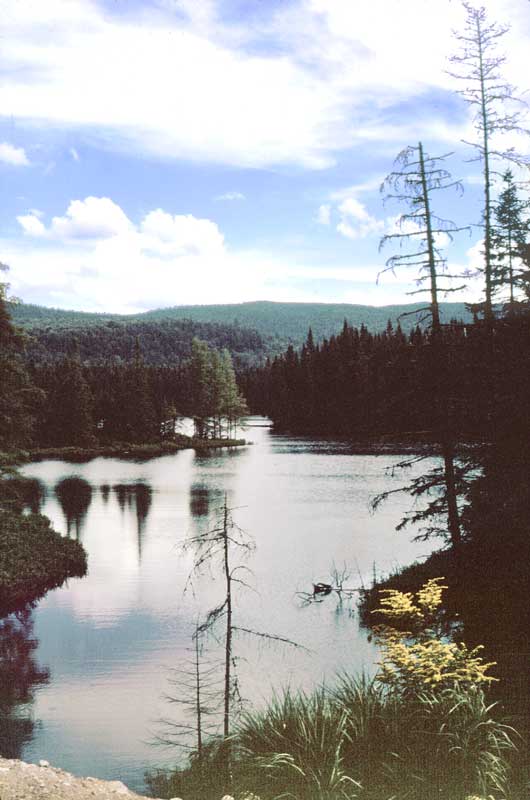Lac dans
                le Parc d Mont Tremblant