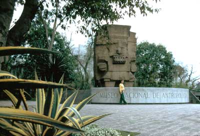 Entrée du Musée
                d'Histoire et d'Anthropologie