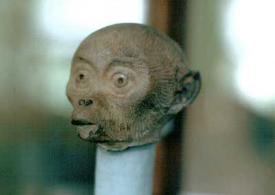 Musée de Tuxtla :
                tête de singe