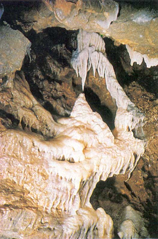 Grotte La Merveilleuse de Dinant :
                            concrétions