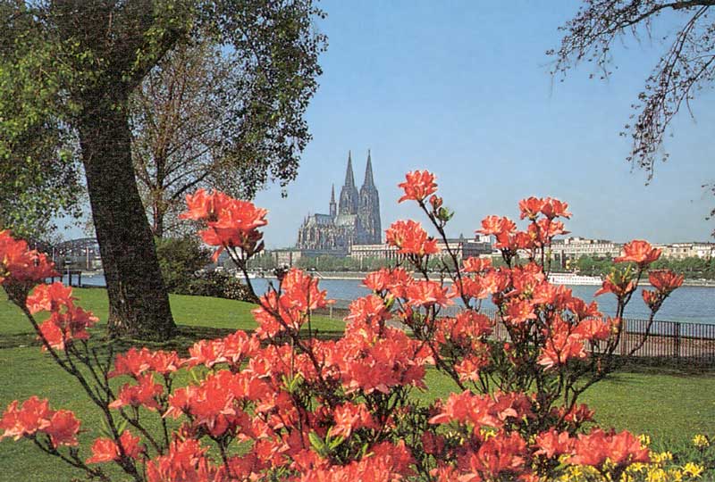 La
                      cathédrale de Köln (Cologne) de l'autre côté du
                      Rhin