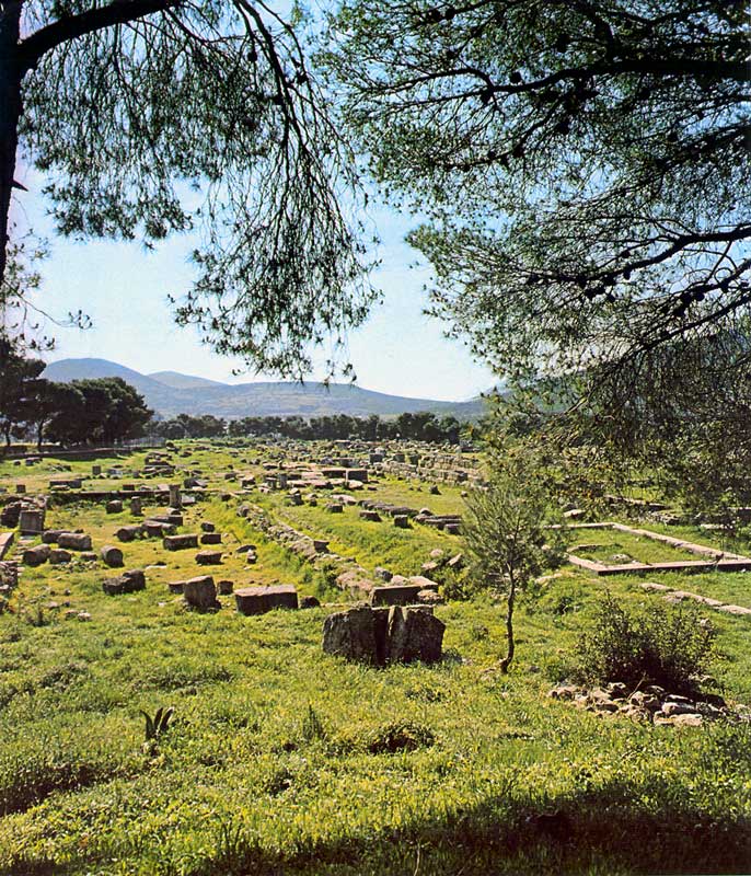 Le vallon d'Épidaure où se trouvaient les
                  installation thérapeutiques