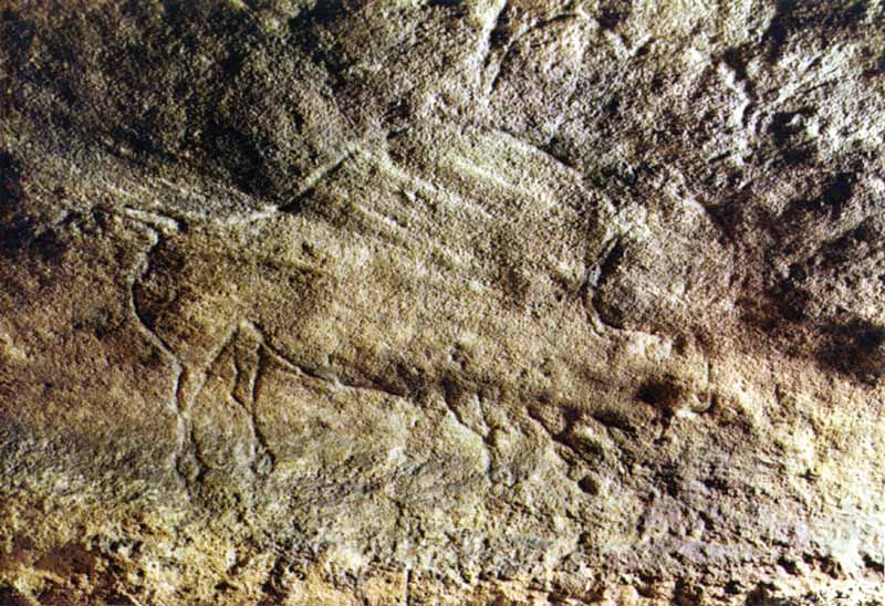 Près des Eyzies, bison incisé dans la grotte de
                    Lamouthe