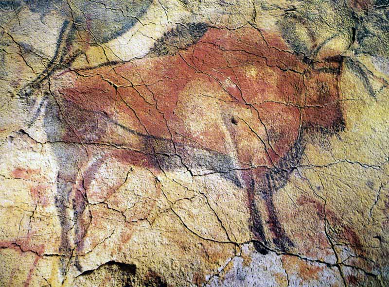 Altamira : bison