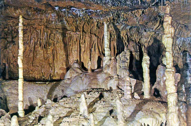 Grotte d'Altamira :
                                      concrétions