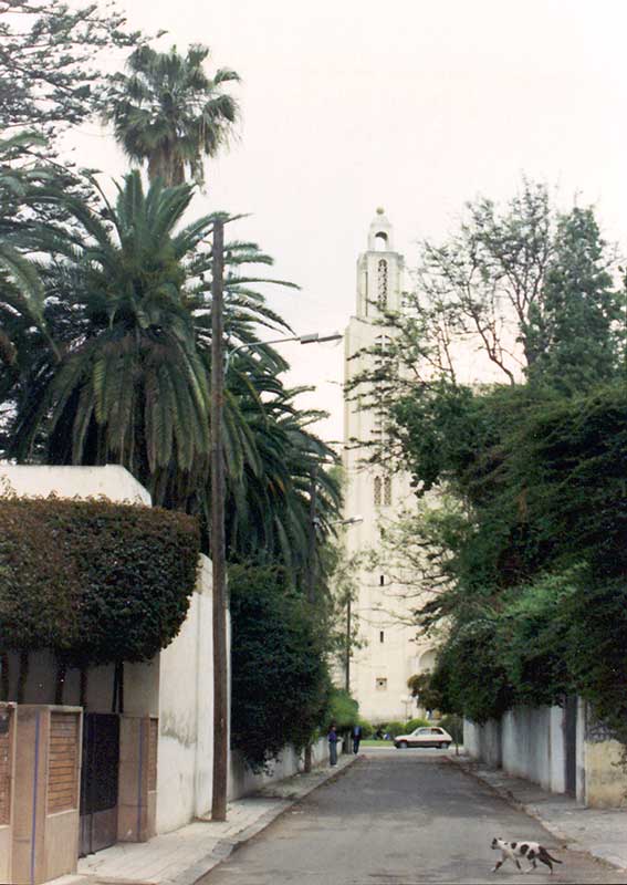 Casablanca : rue du Dr Veyre près de la
                      cathédrale