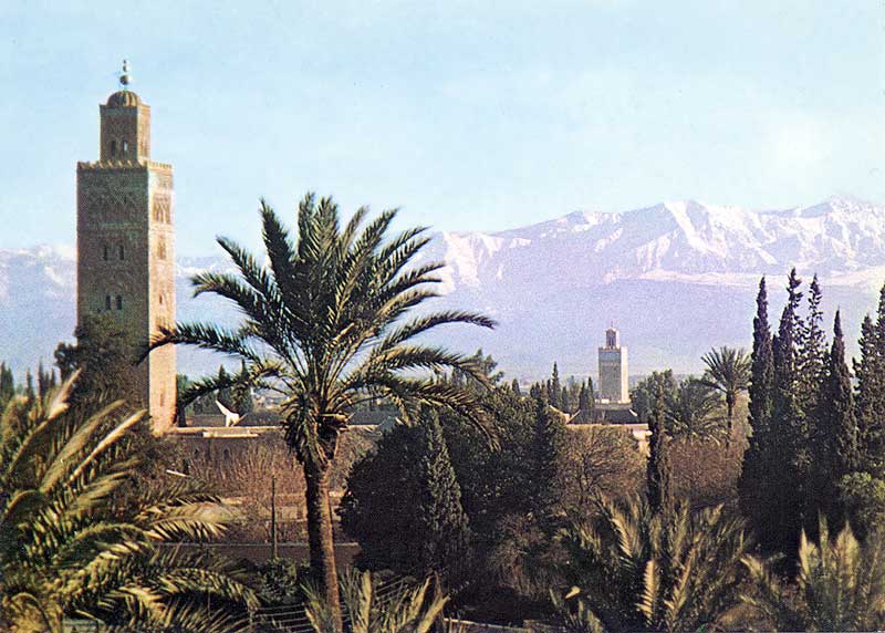 Les palmiers de Marrakech, le minaret de la
                  Koutoubia et l'Atlas enneigé