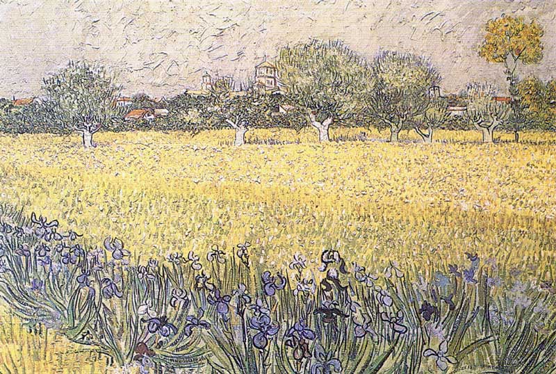 Les Baux : Vue d'Arles aux iris, par Van Gogh