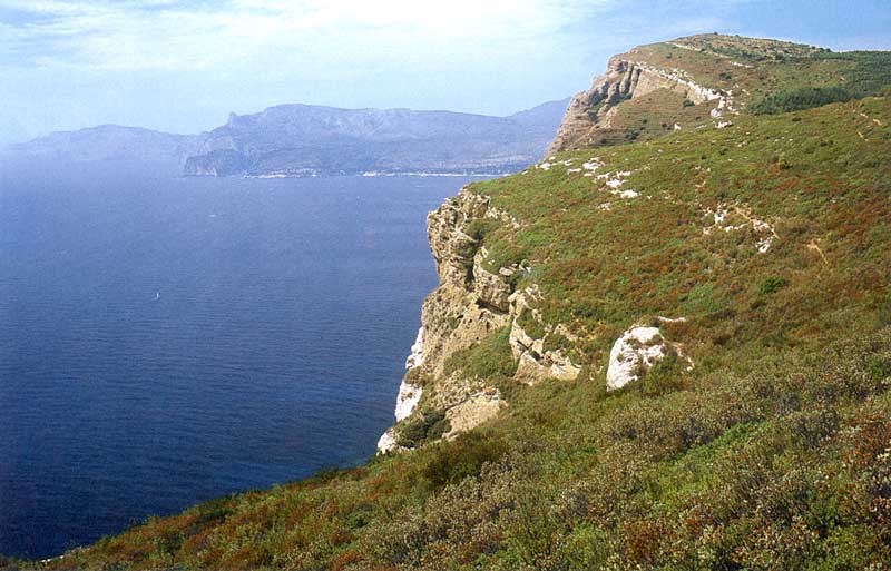 Le Cap Canaille
              au-dessus de la baie de Cassis