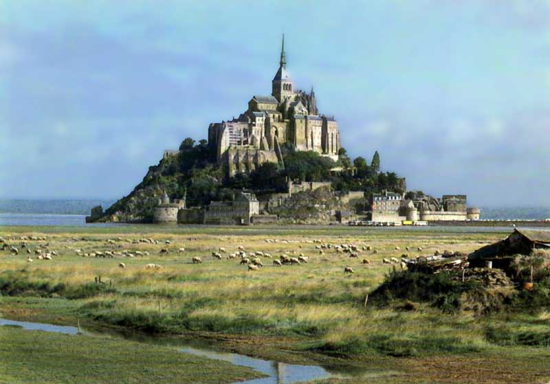 Le Mont Saint
        Michel et ses moutons de prés salés