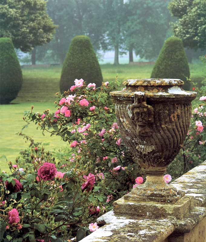 Montacute : urne et roses dans le jardin