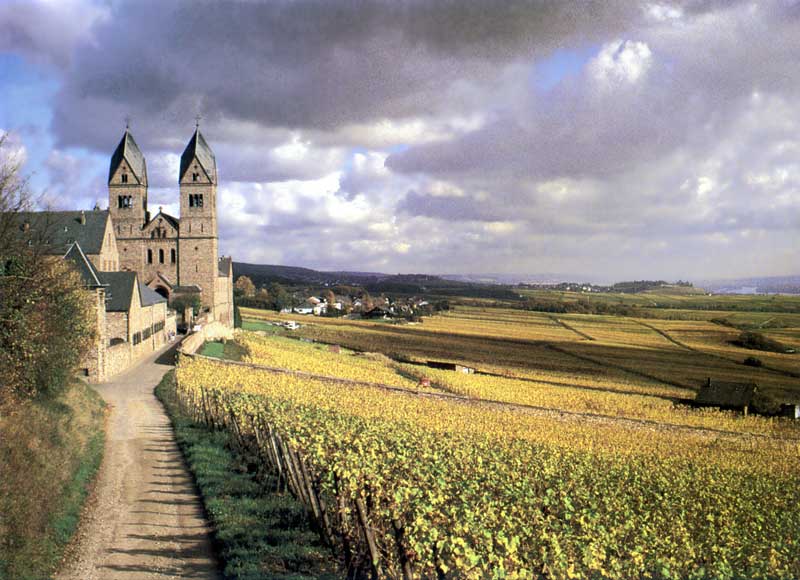 Abbaye viticole de la Rheingau