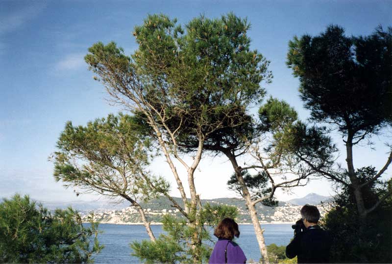 Baie de Nice depuis le phare du Cap-Ferrat