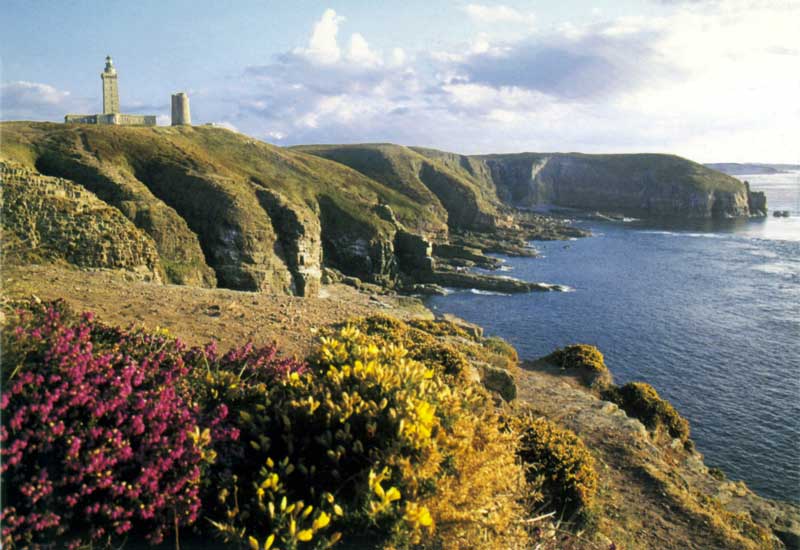 Splendeur du Cap
              Fréhel sous le soleil