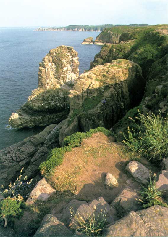 Cap Fréhel