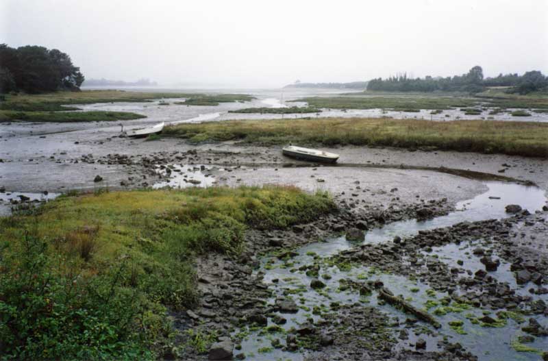 Marée basse en arrivant à Sarzeau