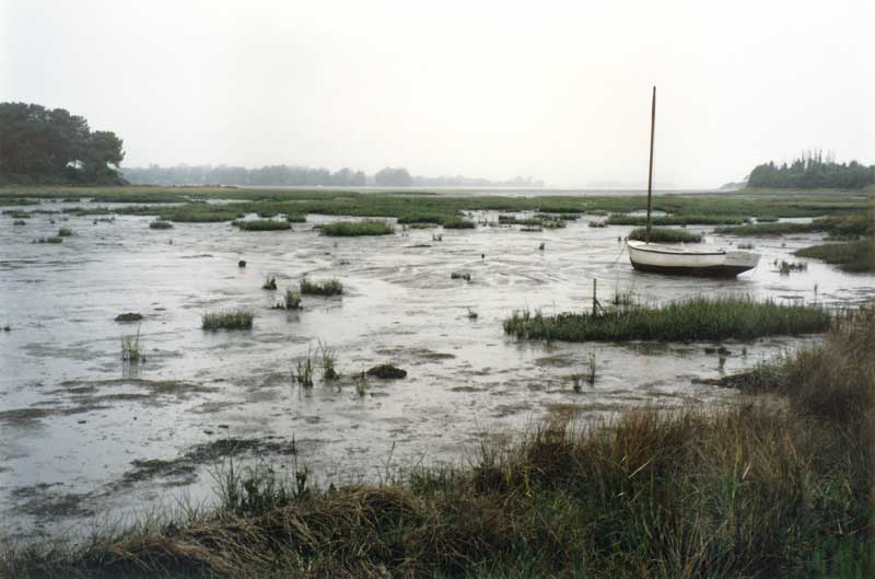 Bateau
          échoué à marée basse à Sarzeau