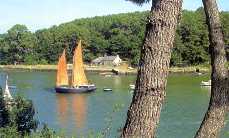 Sinagot
          traditionnel naviguant dans le Golfe du Morbihan