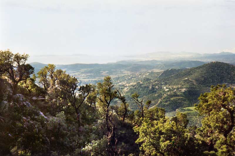 Panorama depuis la Pierre d'Avenon en direction du
                Lavandou