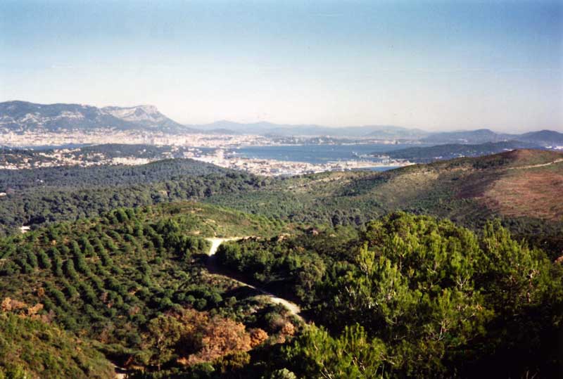En montant sur
                le Cap Sicié, la vue vers Toulon et la Forêt de Janas