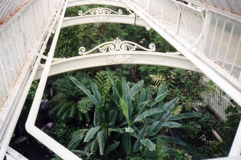 Dans
                  la Palm House de Kew
