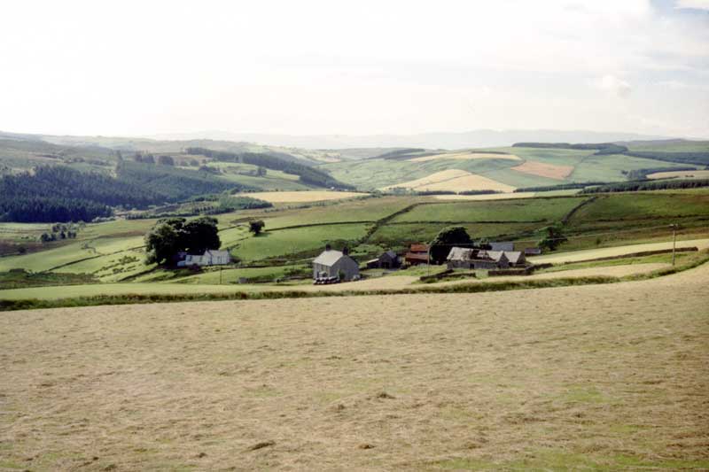 Les vertes et douces collines du Pays de Galles
                  au matin