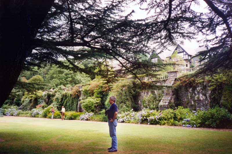 Bodnant Garden : Jean-Paul sur la grande pelouse au
            pied du cèdre