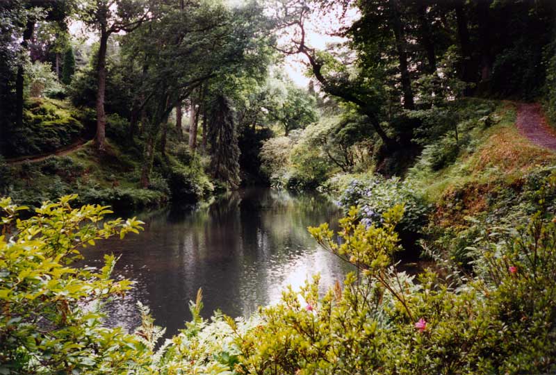 Bodnant Garden : le Pond au fond de la Combe
                      (The Dell)