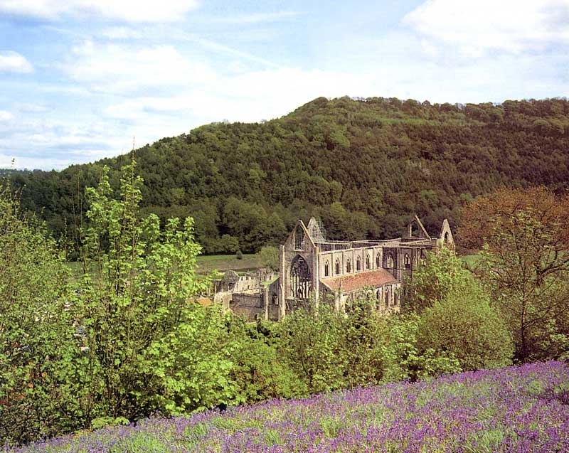 Site de
              Tintern Abbey
