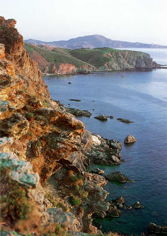 Côte
                vermeille : au premier plan le Cap Oullestreil, en
                arrière le Cap Béar