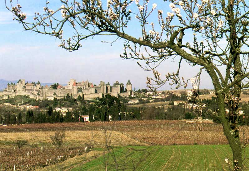 Carcassonne
        au printemps