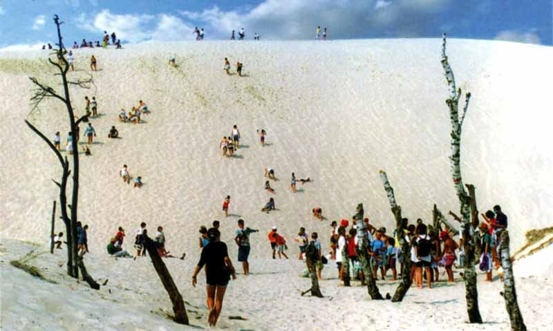 La grande dune de Leba (Parc Slowinsky)