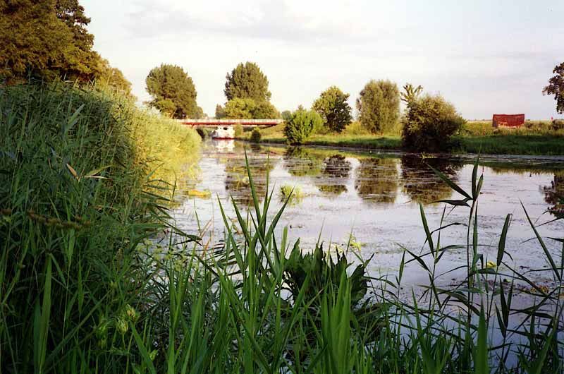 Soir
                  sur le canal d'Elblag