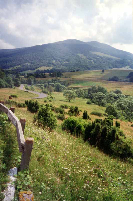 La
                      petite route sinueuse s'enfonce dans les
                      Bieszczady