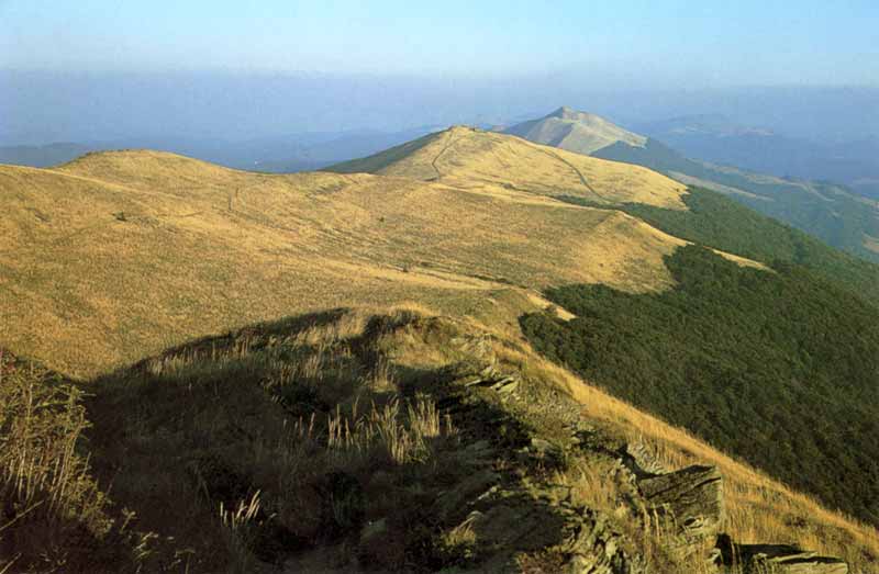 Paysage vallonné des Bieszczady