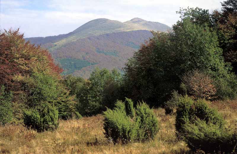 Paysage
              vallonné des Bieszczady