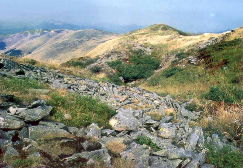 Paysage vallonné des Bieszczady