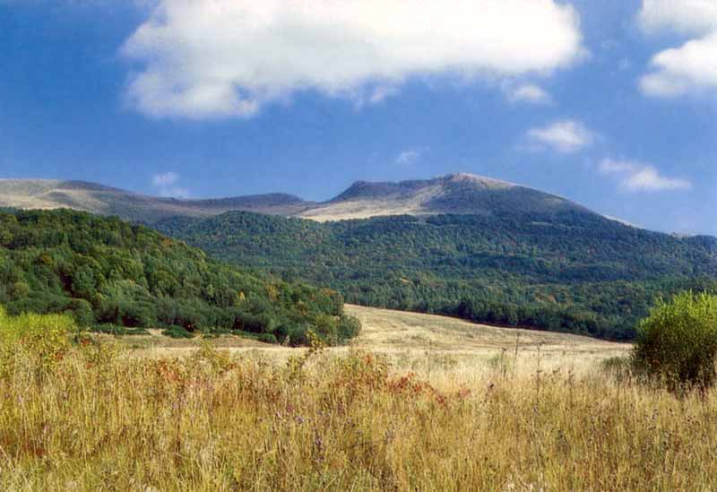 Paysage
              vallonné des Bieszczady