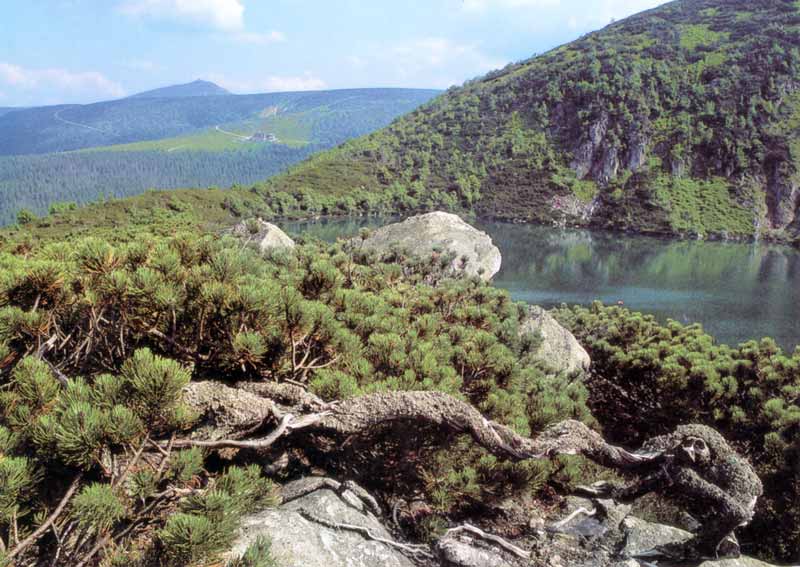 Lac dans le
        parc des Karkonosze