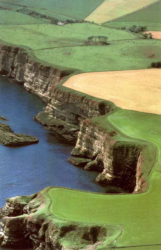 Falaises de la côte est de l'Écosse