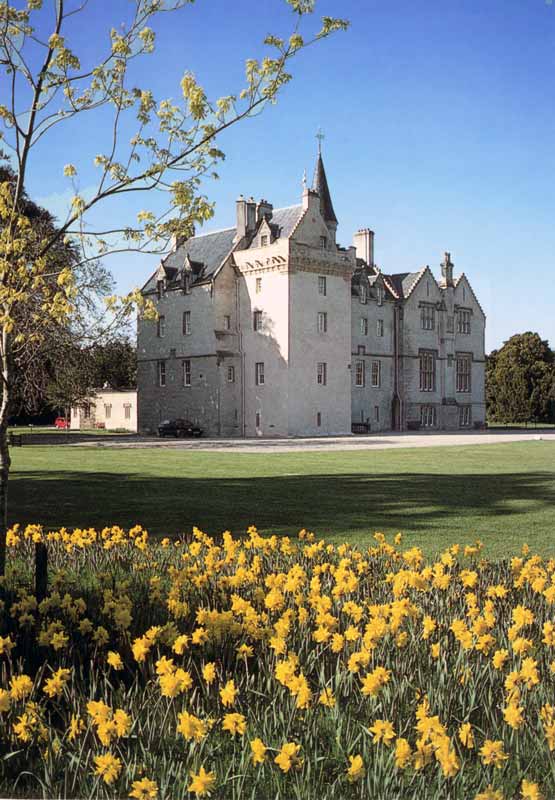 Brodie Castle et ses jonquilles...