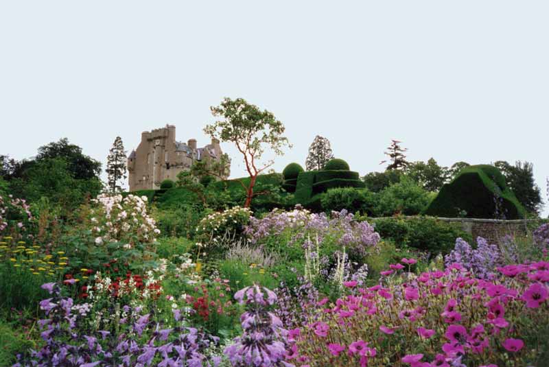 Crathes
              Castle : le jardin