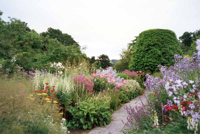 bordure-herbacees