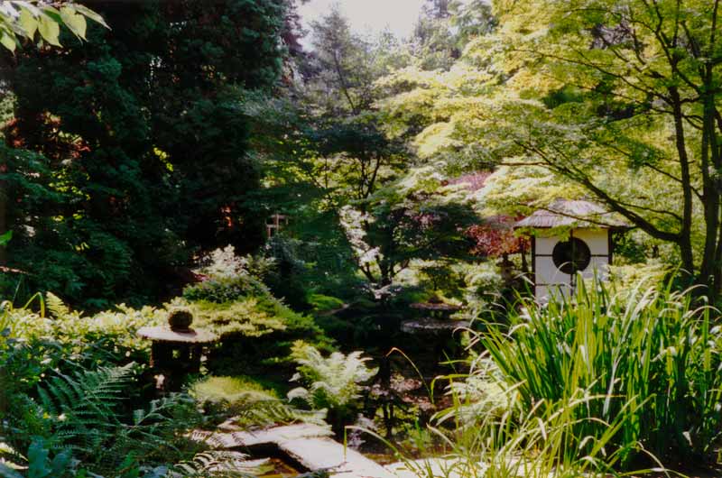 Tatton Park : Jardin japonais