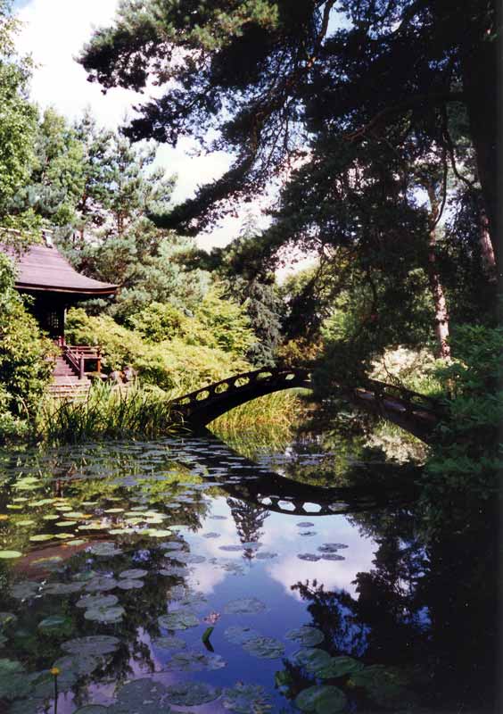 Tatton Park : Jardin japonais