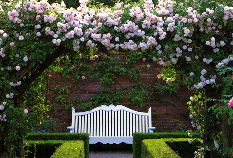 Mottifont Abbey : le banc sous le rosier grimpant