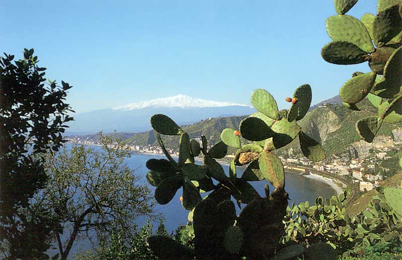 L'Etna
            depuis Taormina à travers les figuiers de Barabarie