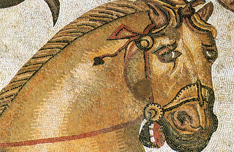 Piazza Armerina : détail de la tête de cheval dans le
              triclinum